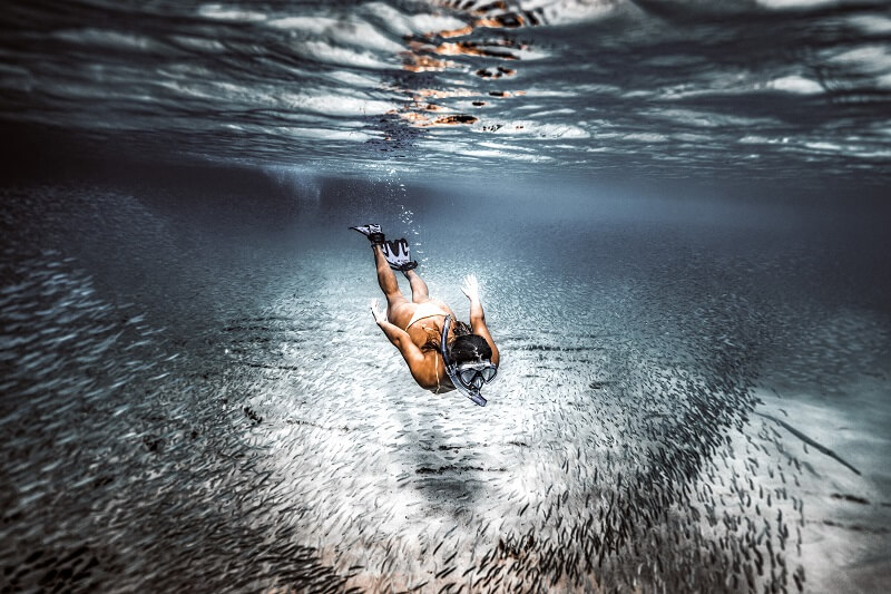 Freediving vs Scuba diving: Which one should you choose?